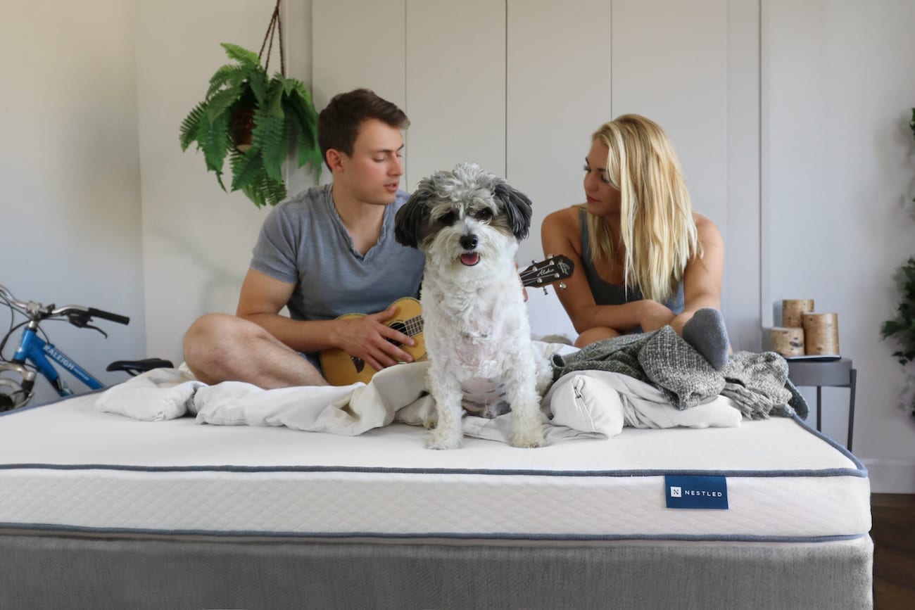 A man and woman sit on a latex mattress topper with their dog