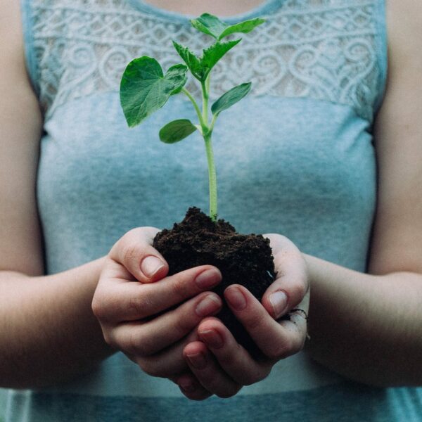 a woman in a light blue top holding a plant seedling in her hands