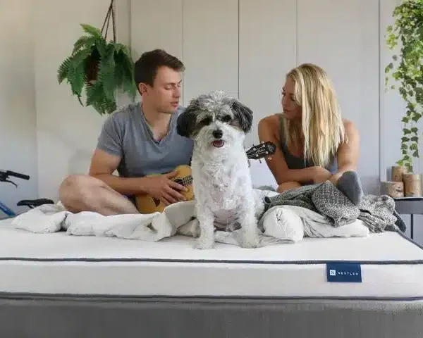 A man and a woman sitting on the best latex queen mattress with a dog and a ukelele