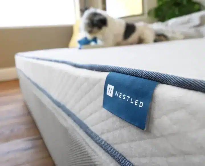 A dog on a latex queen mattress from Naturally Nestled