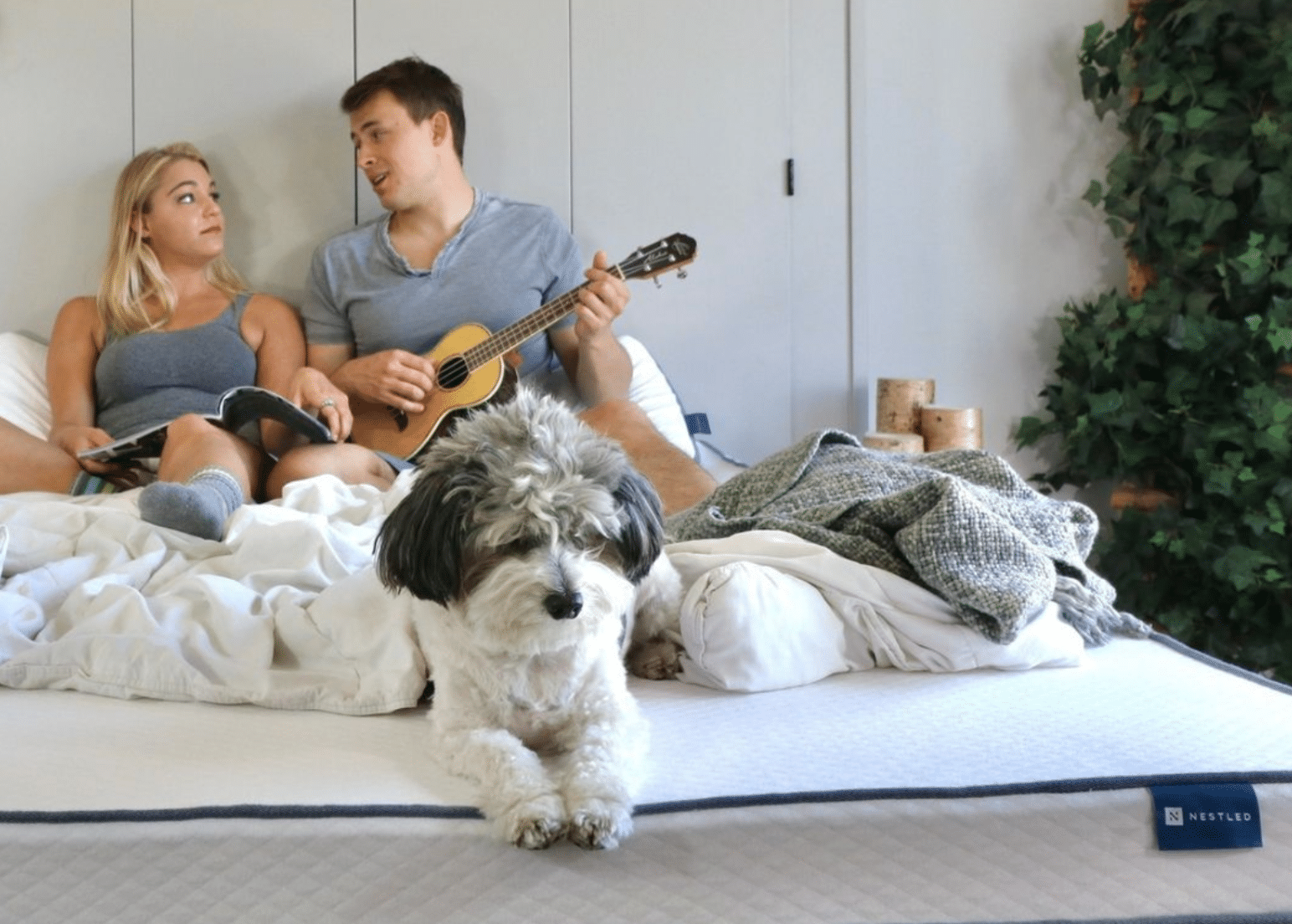  A couple and a dog on an organic latex mattress
