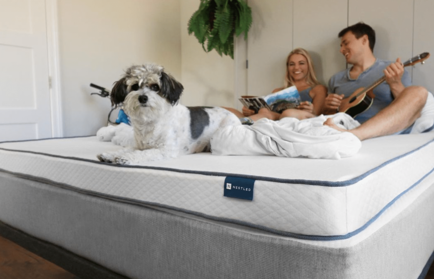 A great mattress topper for couples is shown with a couple and their dog testing out its comfort