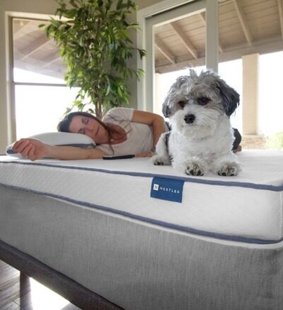 A woman enjoying a nap next to her dog on a natural latex mattress from Naturally Nestled