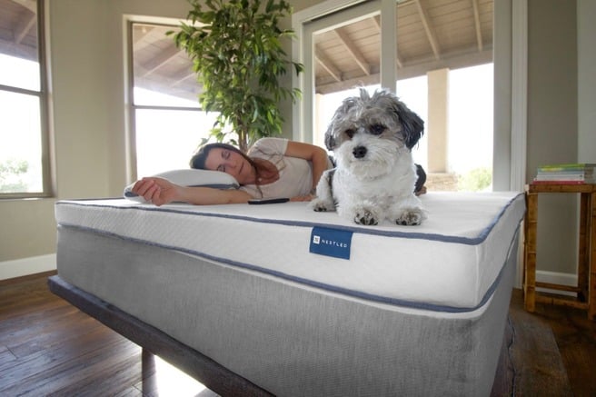 A woman enjoying a nap next to her dog on a natural latex mattress from Naturally Nestled